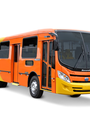 Detalhes doCurso de TCP Transporte Coletivo de Passageiros 
